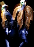 IRIS VAN HERPEN